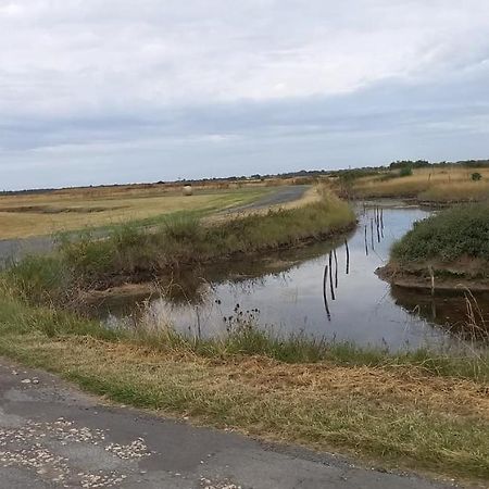 En Plein Coeur De L'Ile D'Oleron, Suite Parentale. Dolus d'Oléron エクステリア 写真