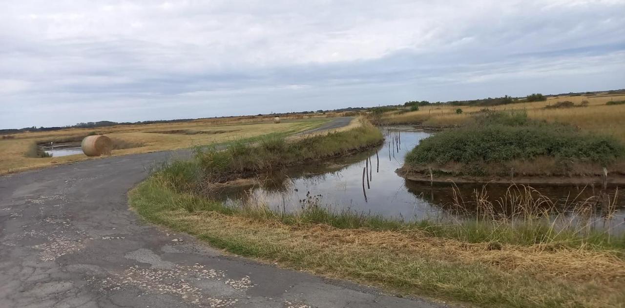 En Plein Coeur De L'Ile D'Oleron, Suite Parentale. Dolus d'Oléron エクステリア 写真